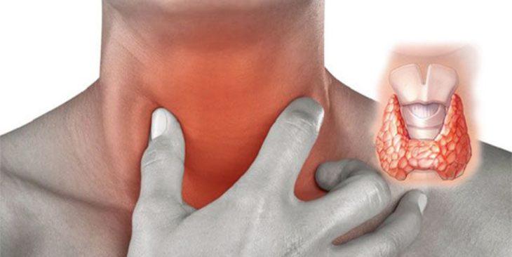 Щитовидная железа Здоровье