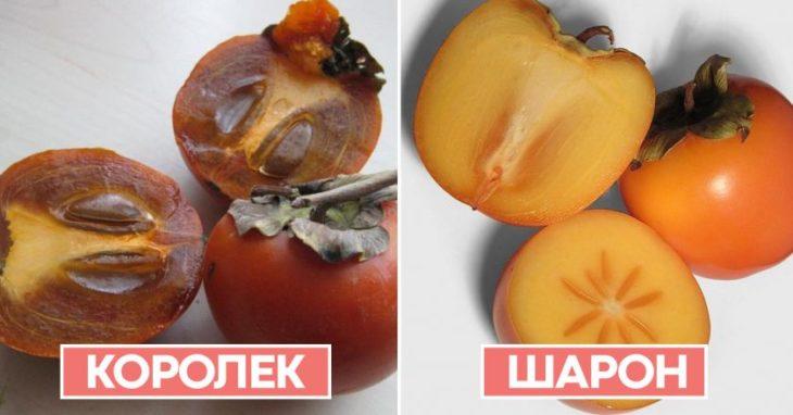 сорта хурмы