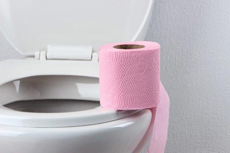 Фото втулки от туалетной бумаги зева
